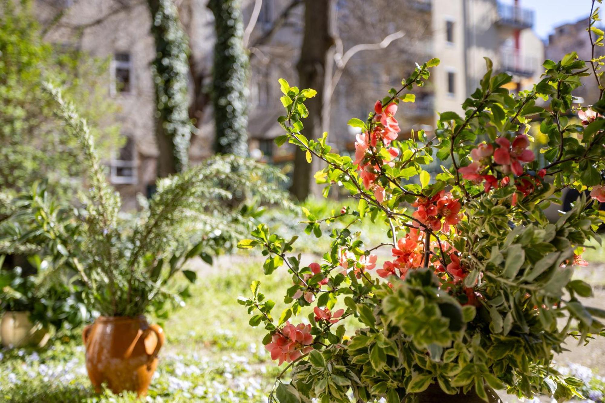 Apartman Ginkgobiloba The Harmony Budapest