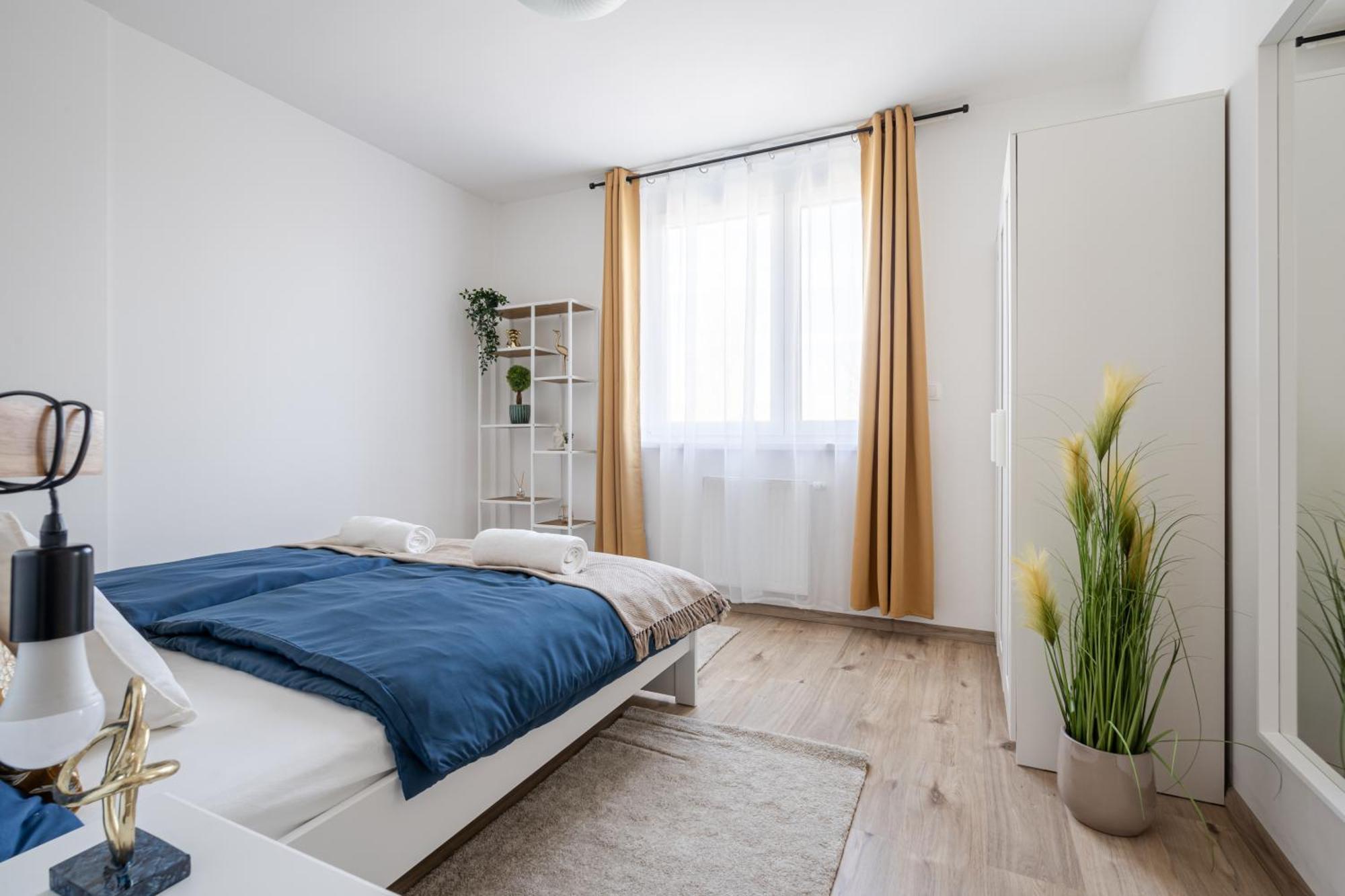 Need In Bp - Garage, Terraces, Aircon Budapest