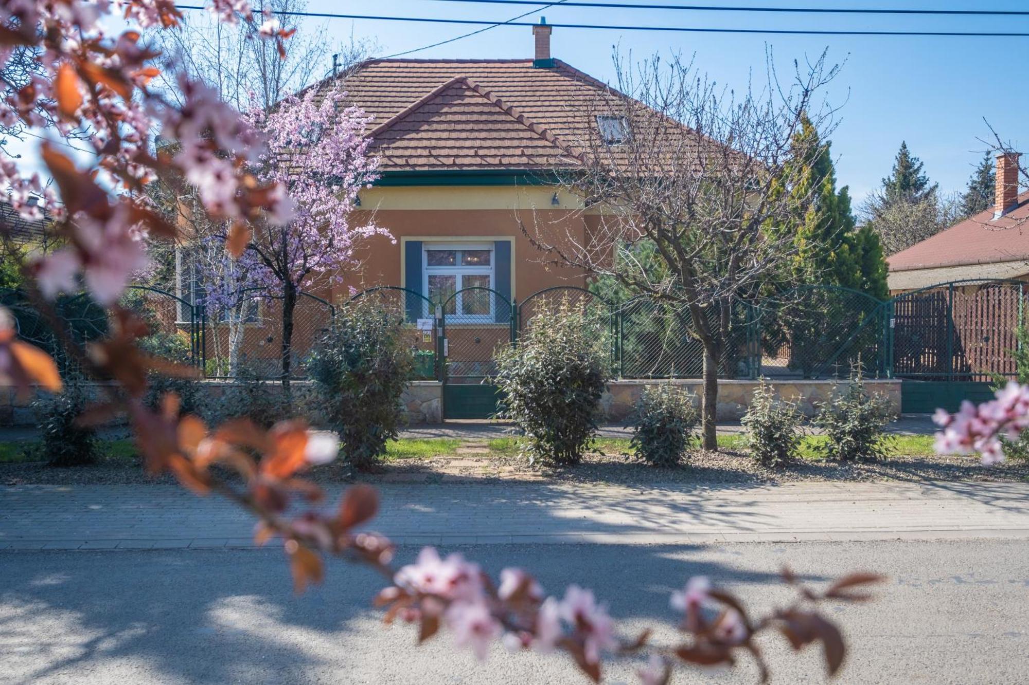 Villa Giovanni's Airport House Budapest