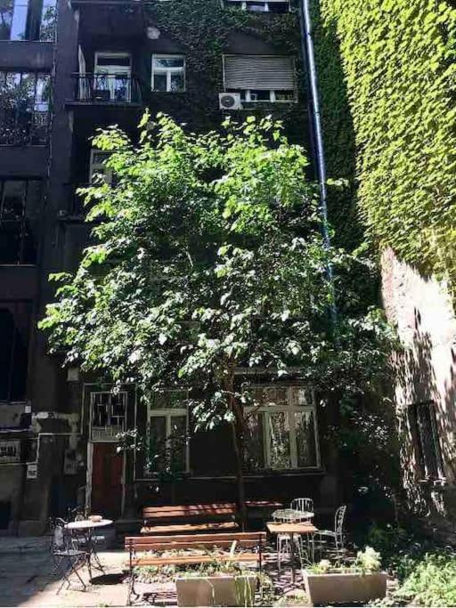 Apartment 57 Steps From The Basilica Budapest