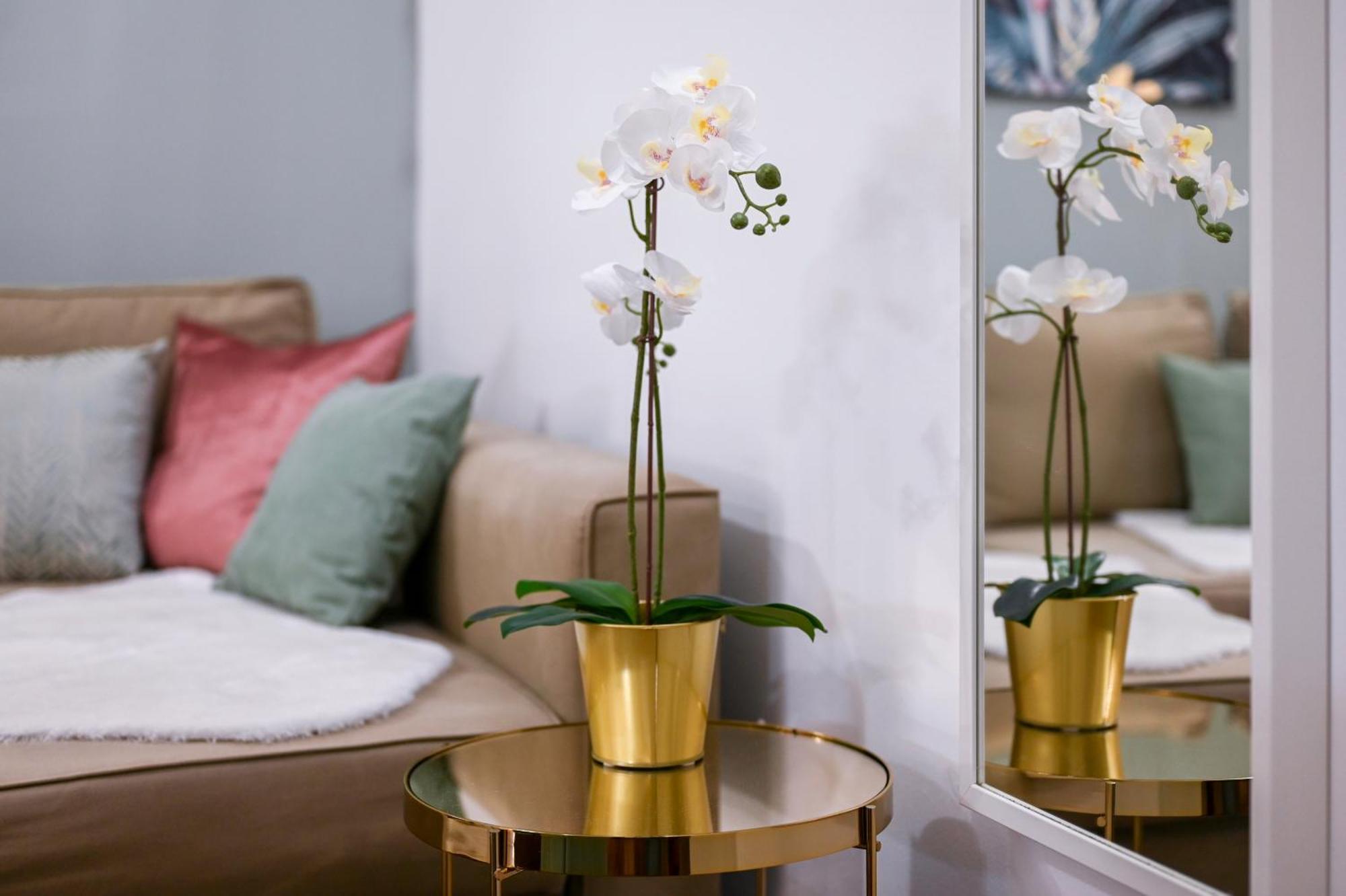 Apartmán Amethyst - Kadar Budapest