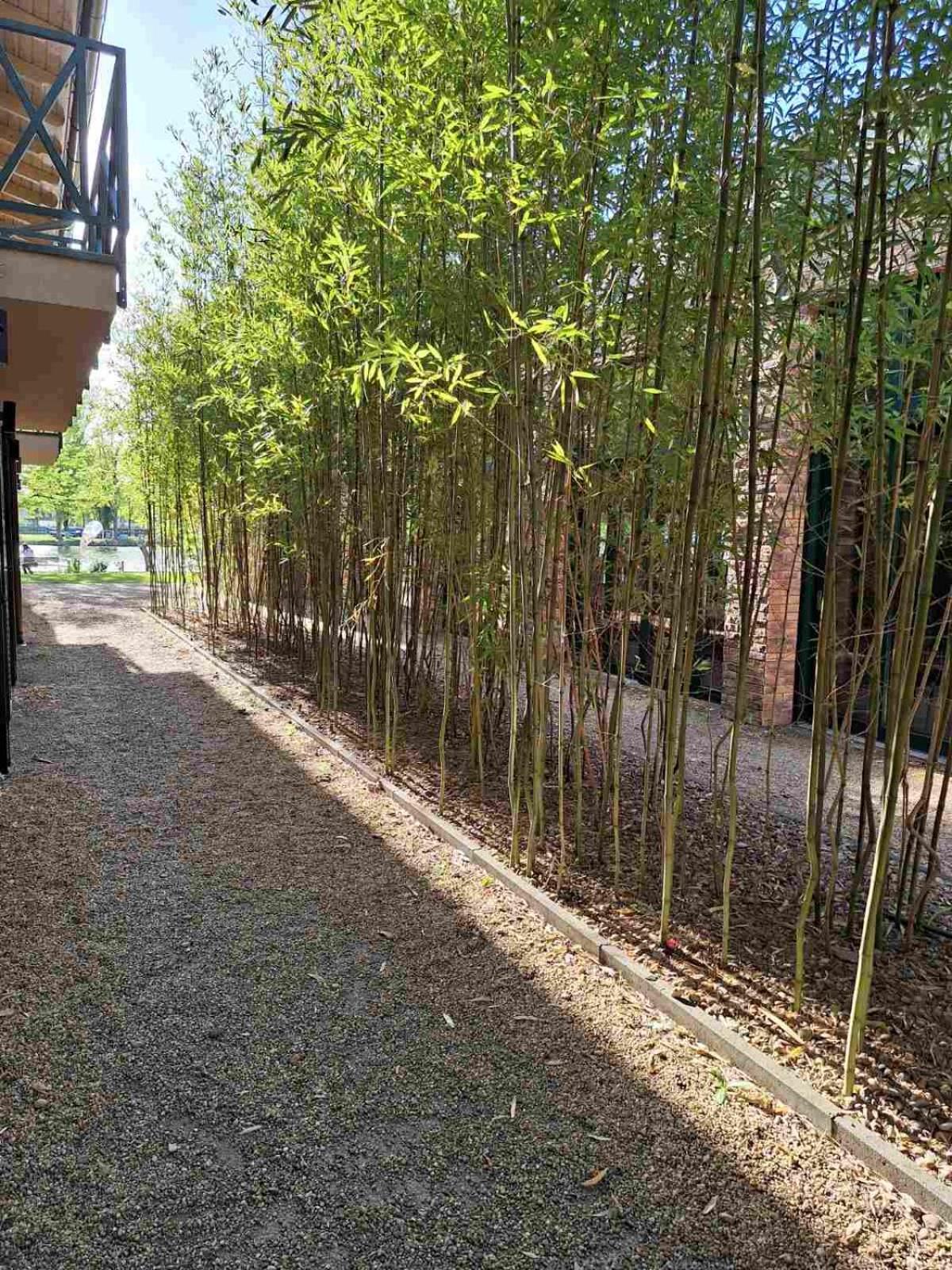 Duna Garden Hotel 4*