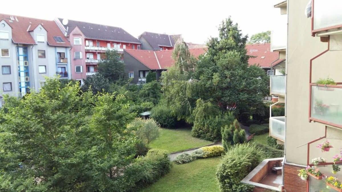 Sunny Balcony - Cute And Cozy *
