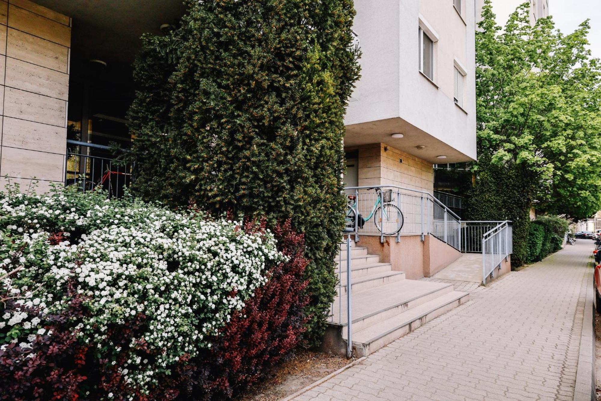 Apartman Cosy Zuglo Next To Puskas Arena Budapest