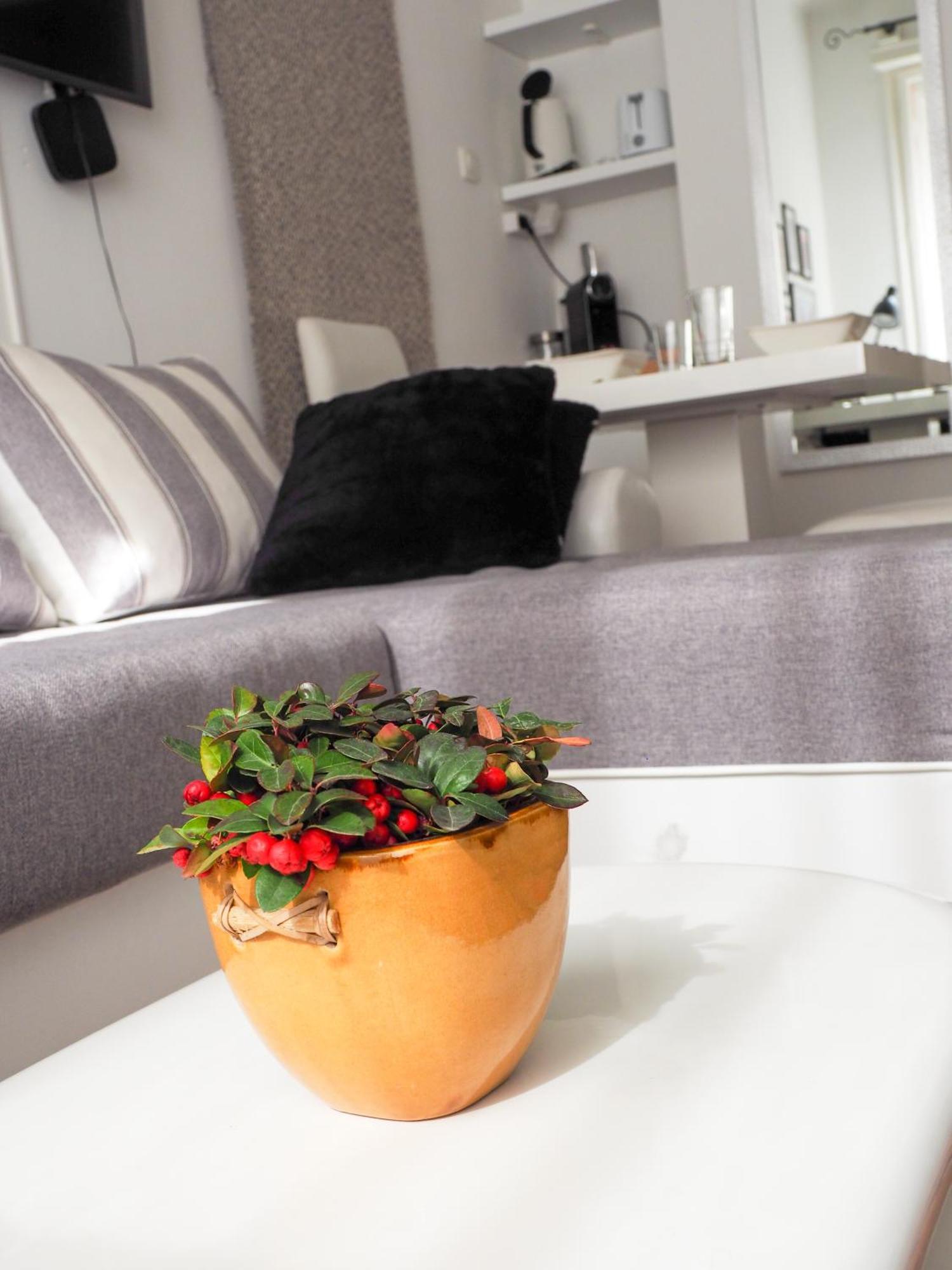 Apartment Buda