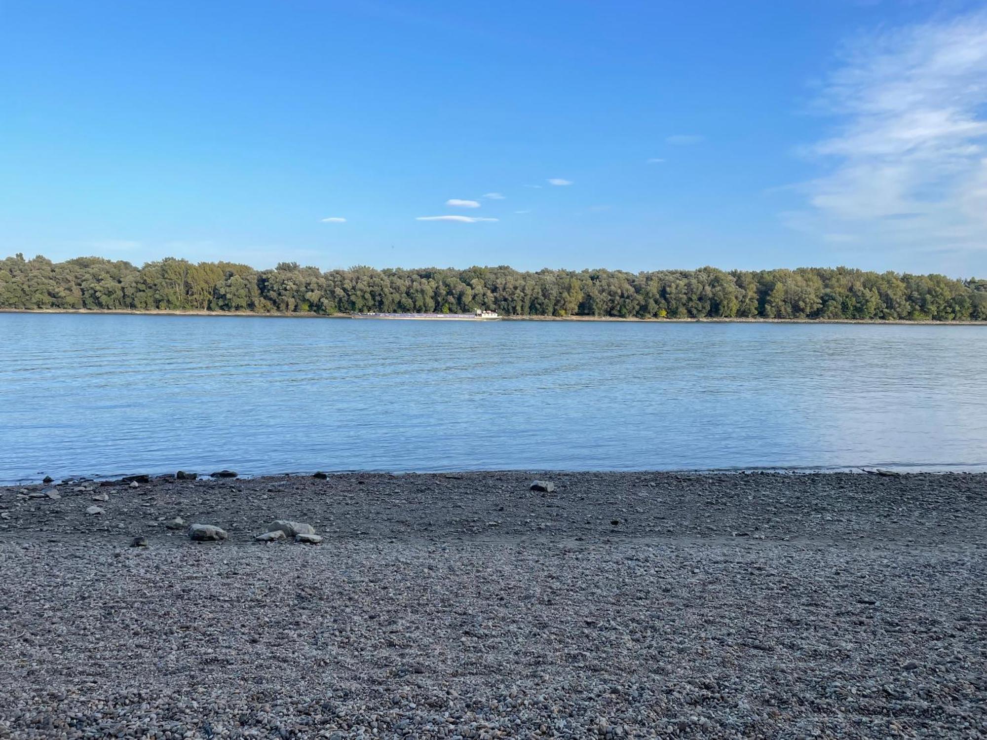 Calm Island Near The Danube - Free Parking Appartamento Budapest