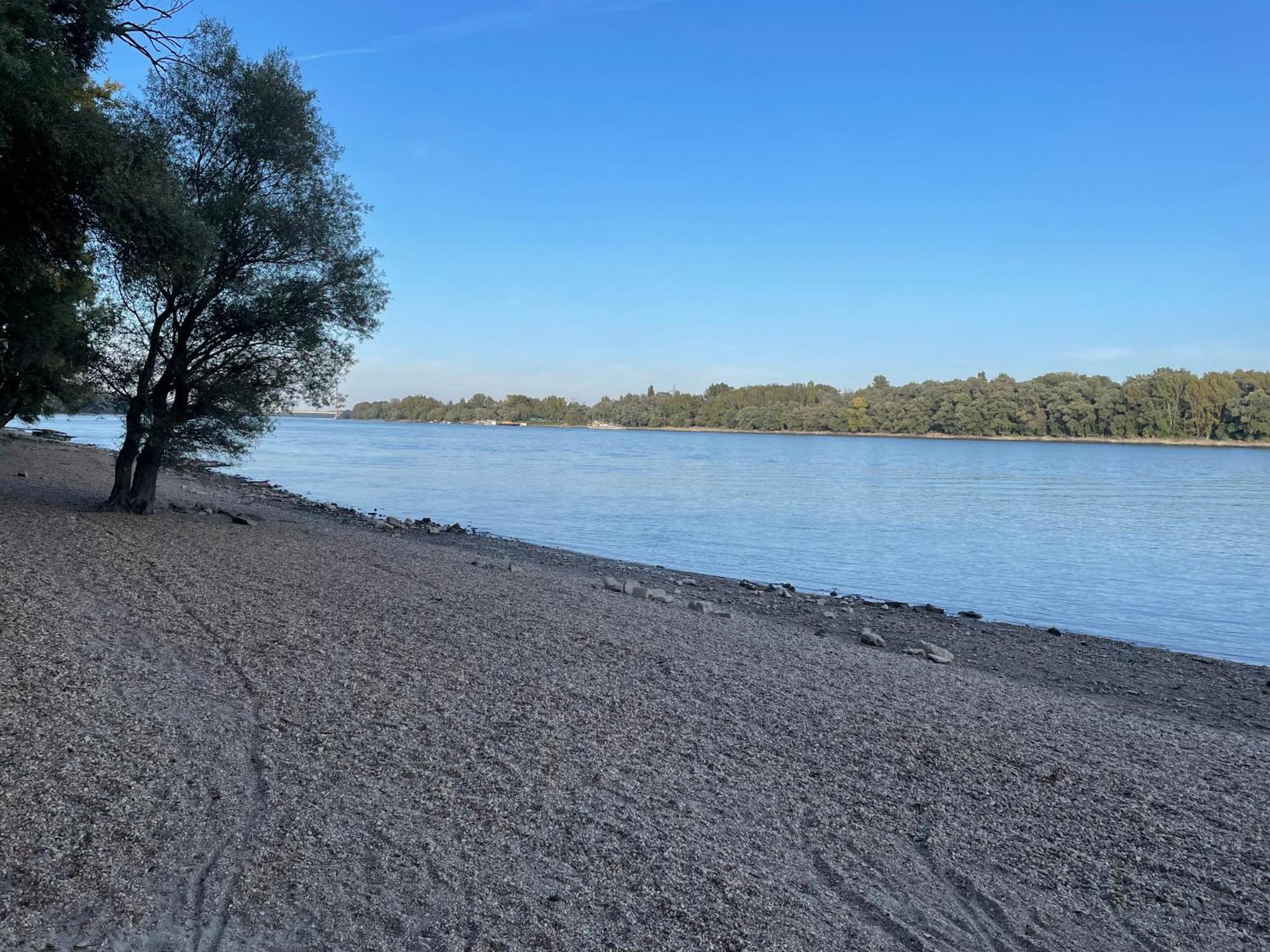 Calm Island Near The Danube - Free Parking *