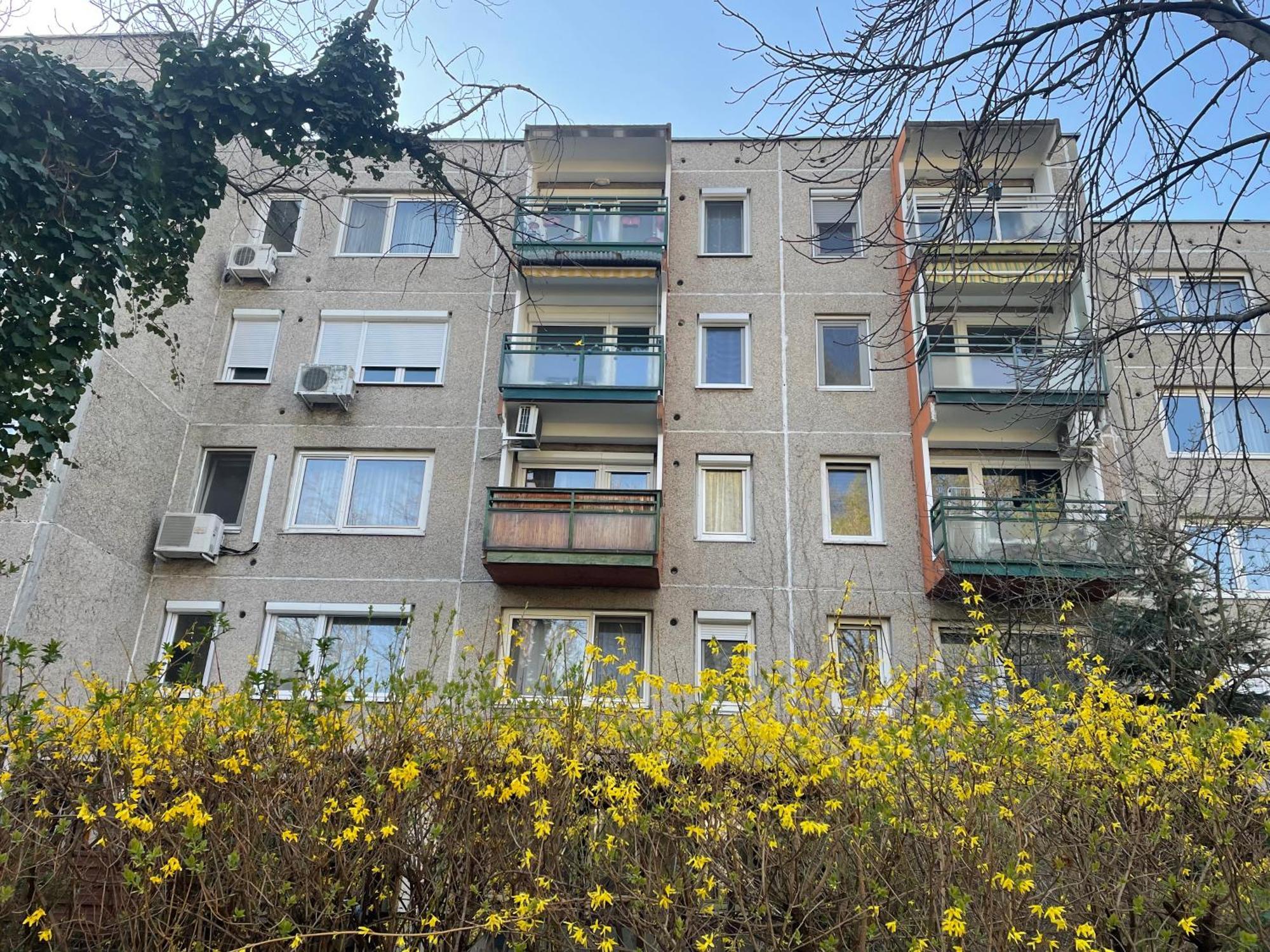 Calm Island Near The Danube - Free Parking Apartman *