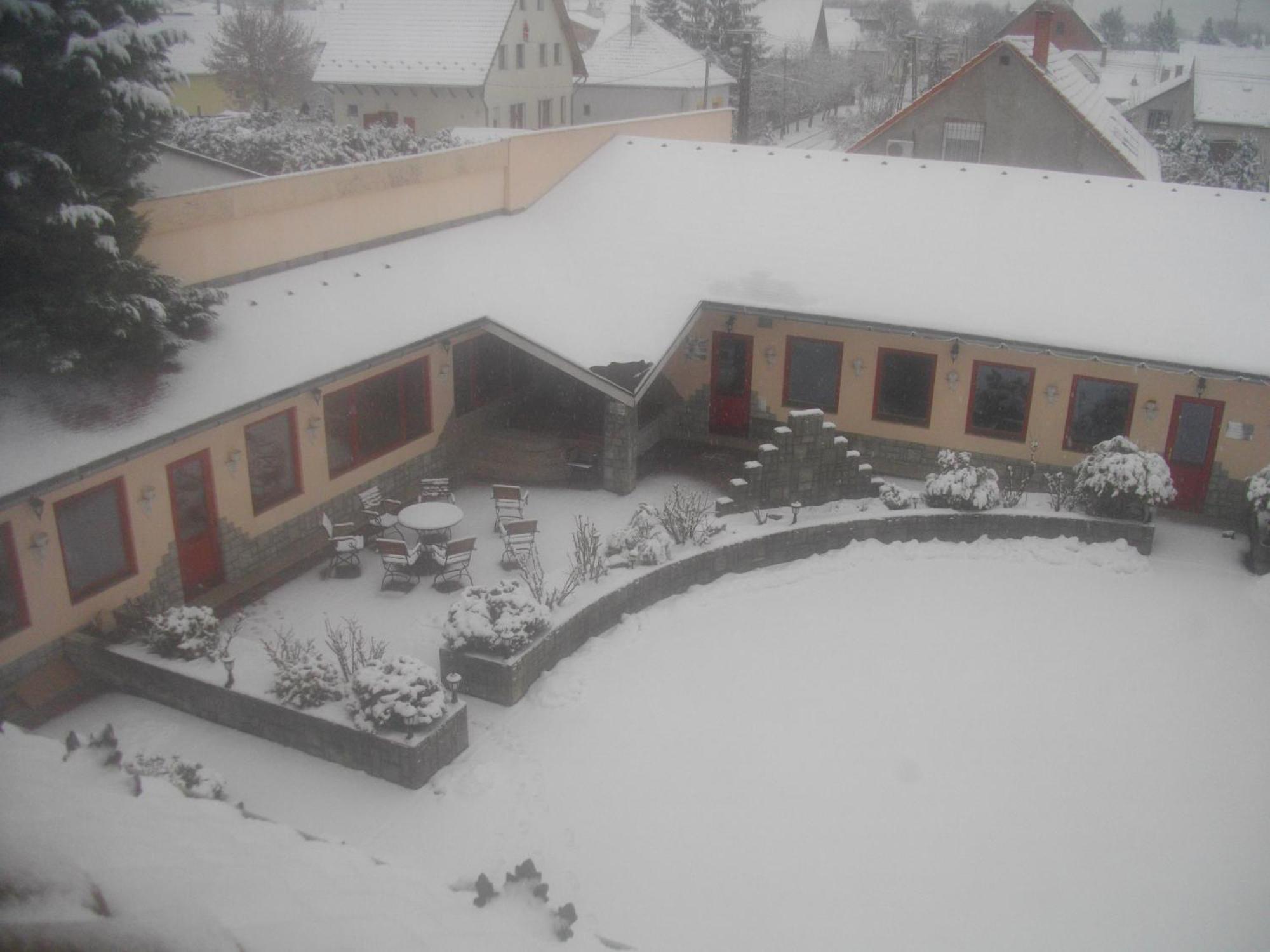 Palota