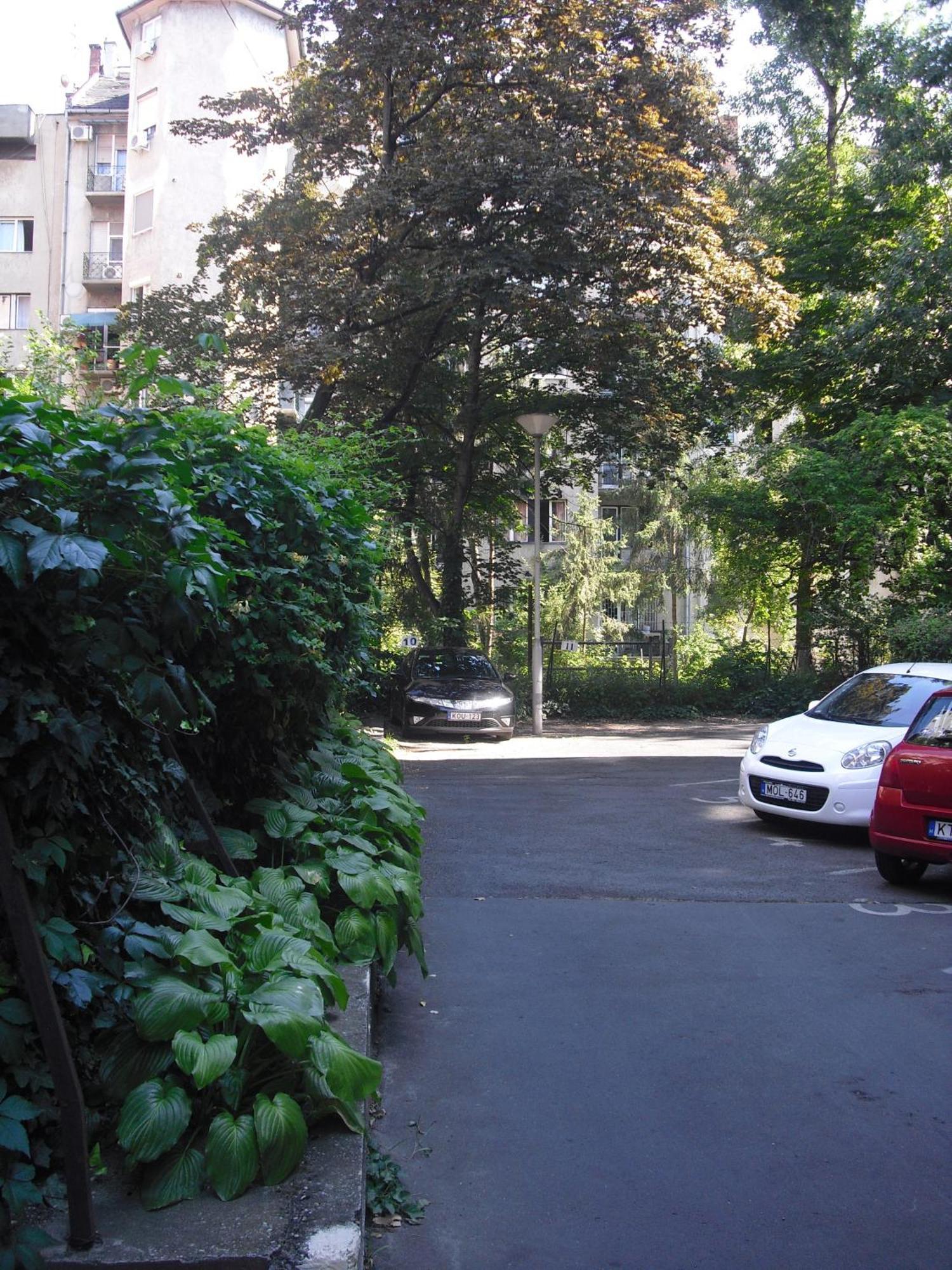 Apartment Young Center *