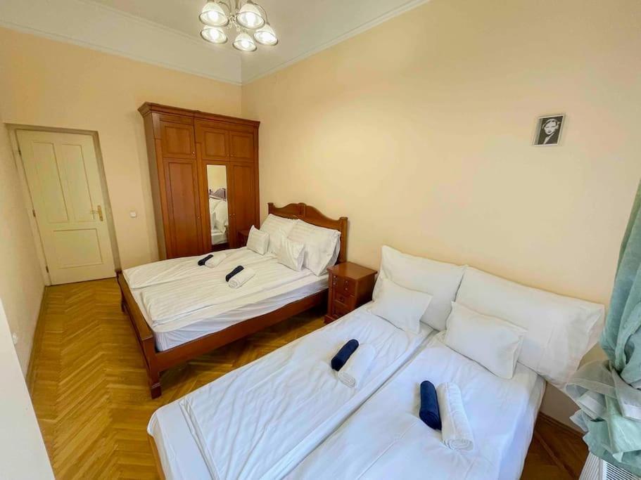 Apartment Spacious Retreat By Puskas Arena *