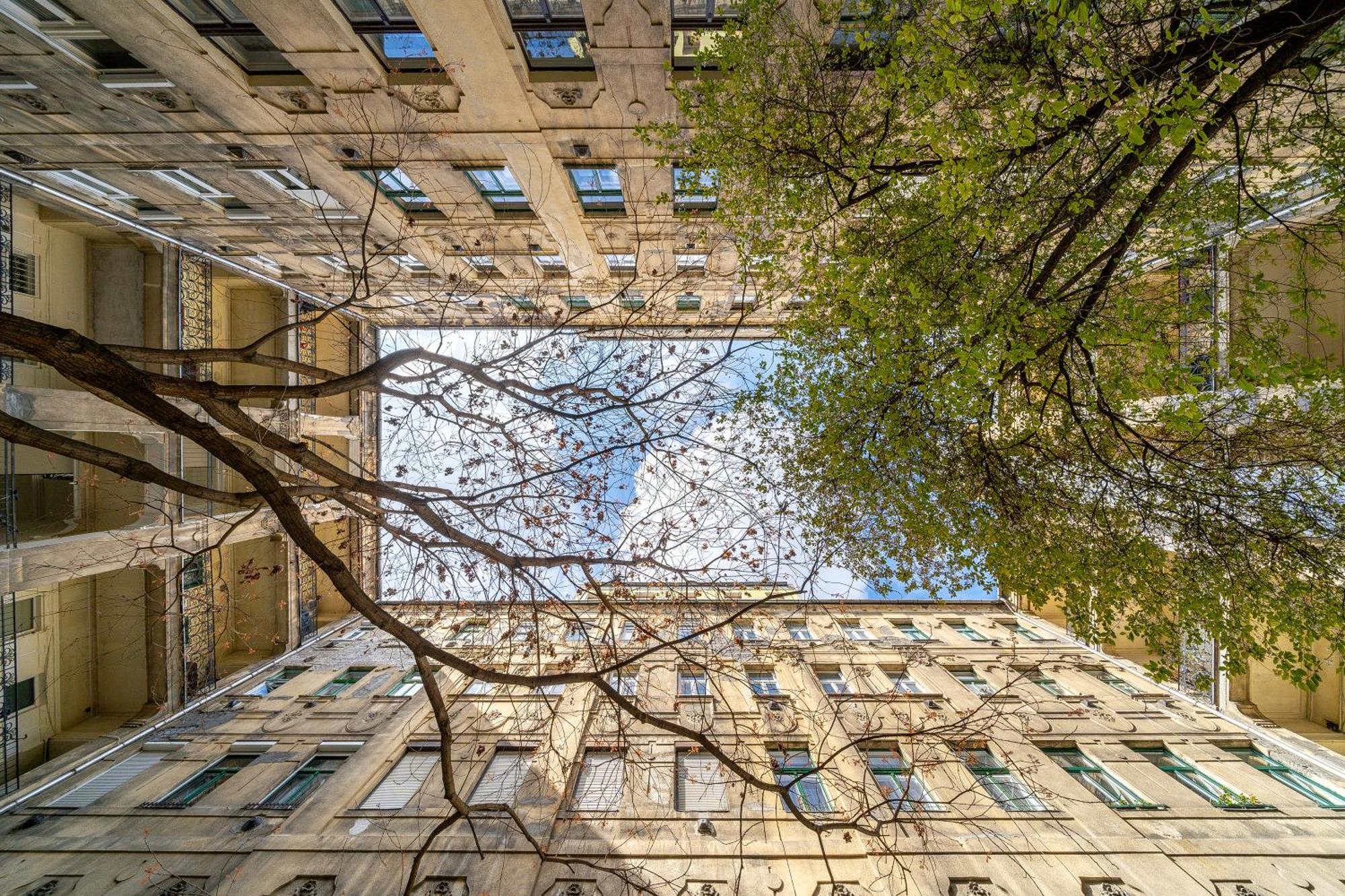 Apartament Dream Nouveau