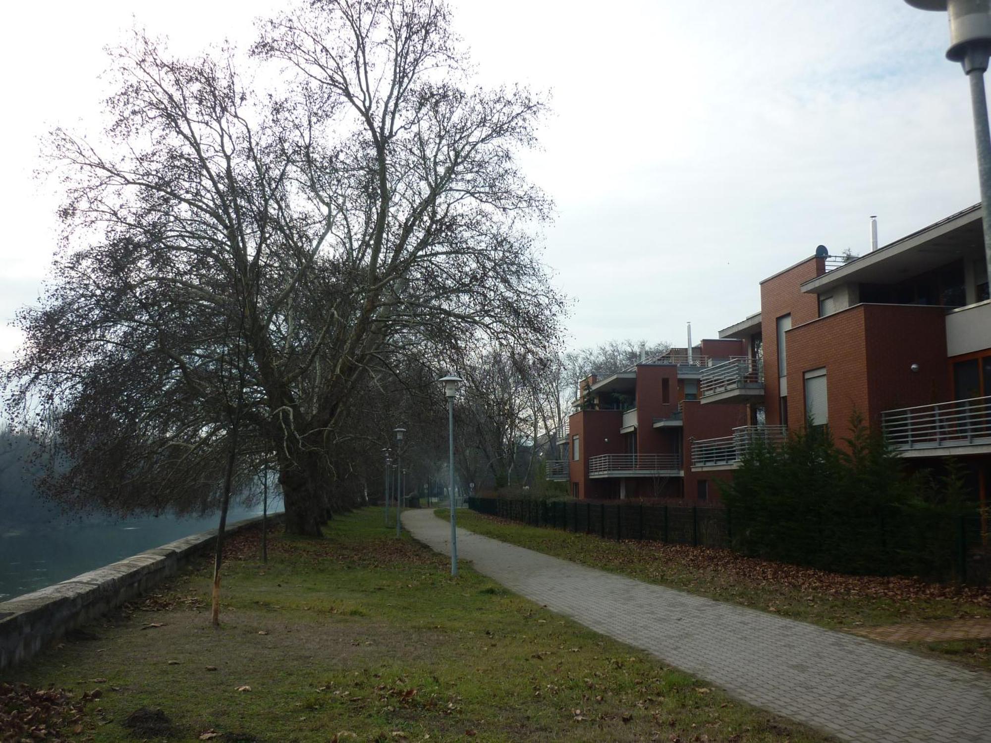 Apartment Aquincum Dunaparti