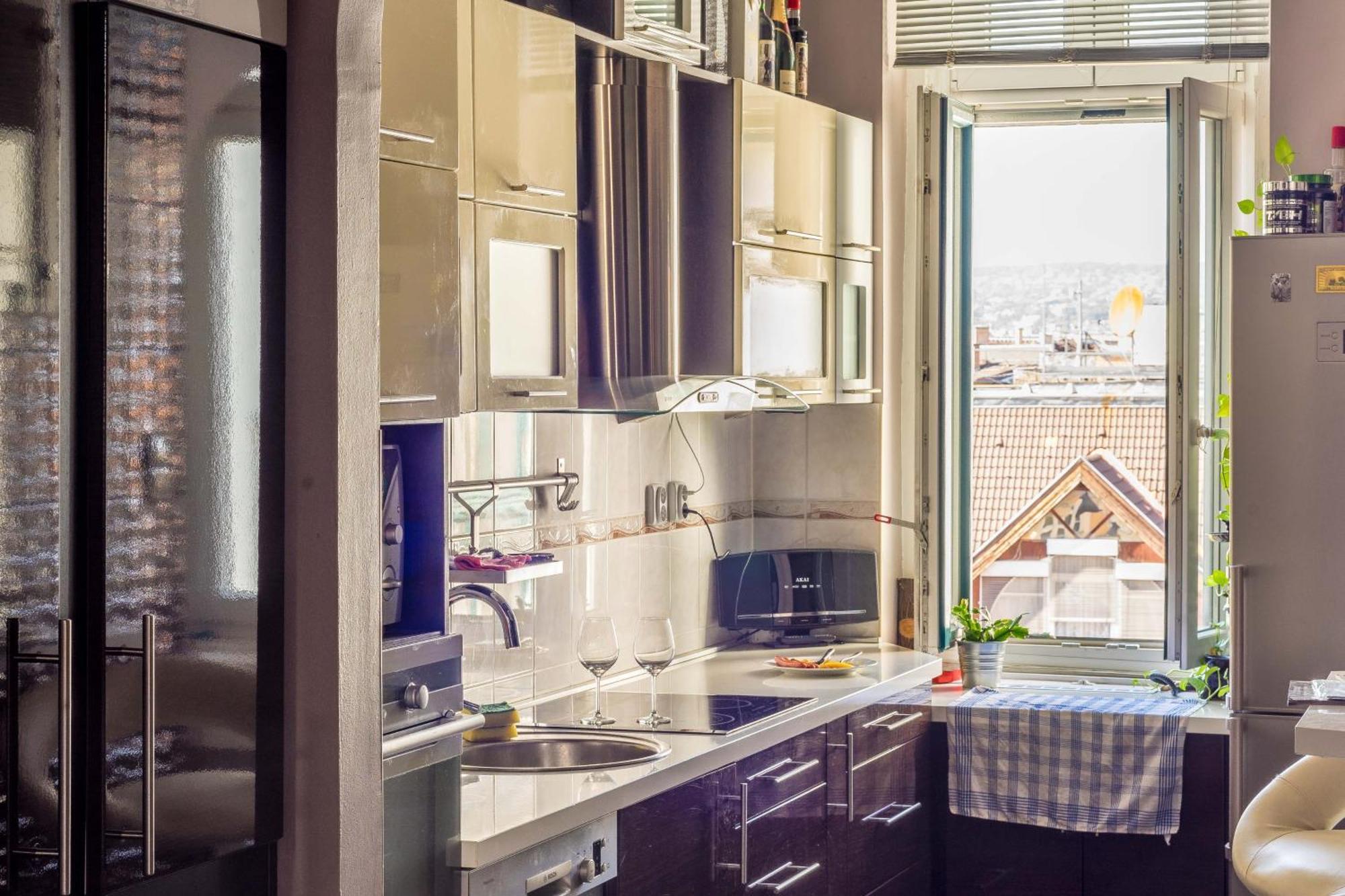 Opera Panoramic Penthouse Apartment Budapest
