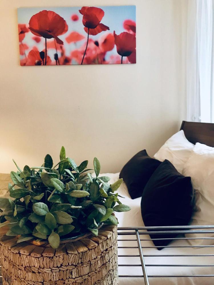 Elegancia Apartmán