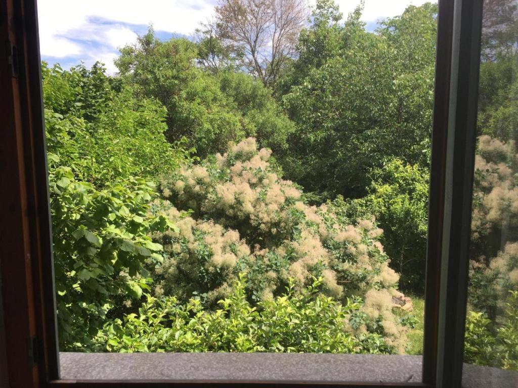 Garden Auberge de jeunesse *