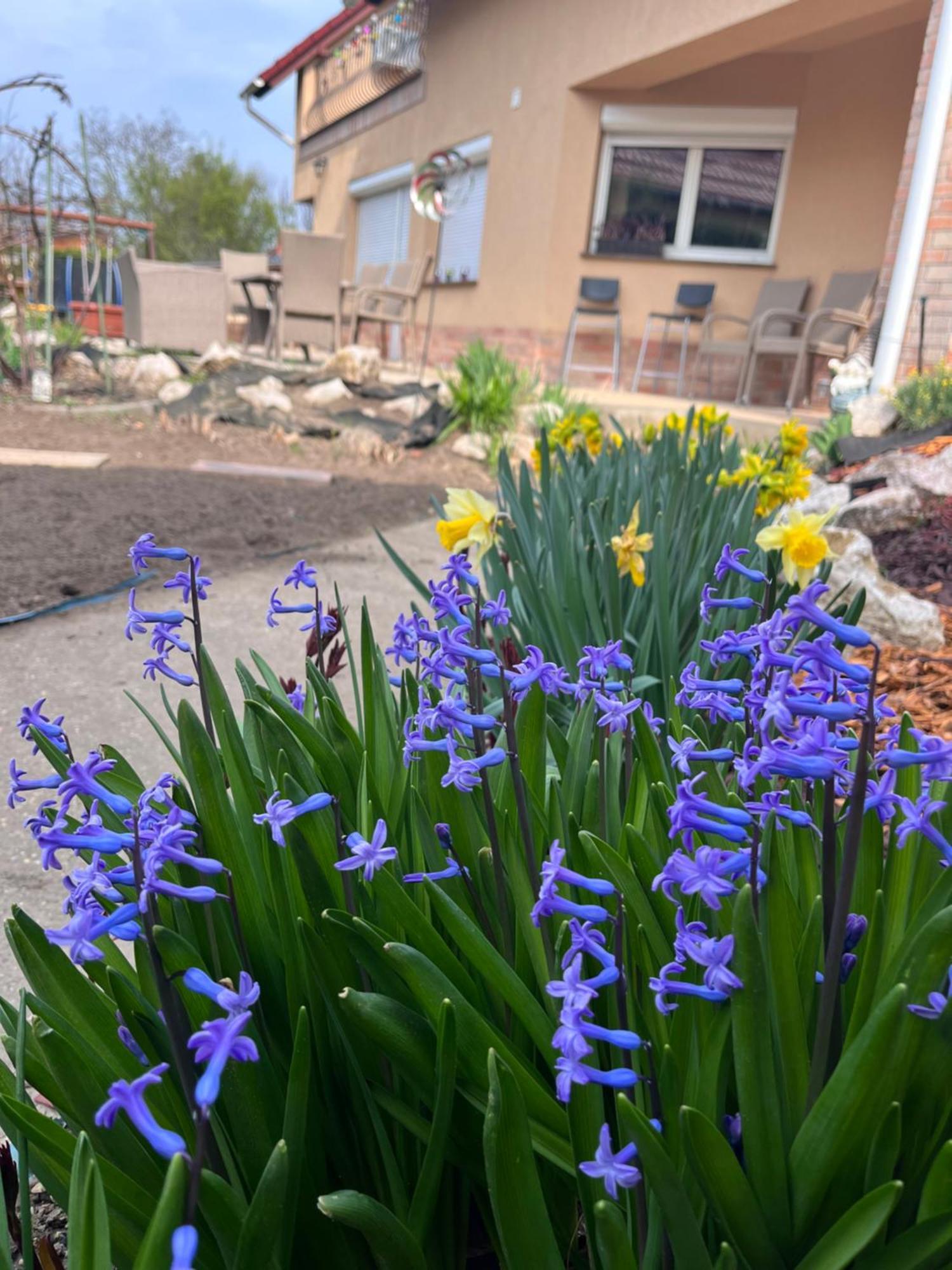 Garden Villa