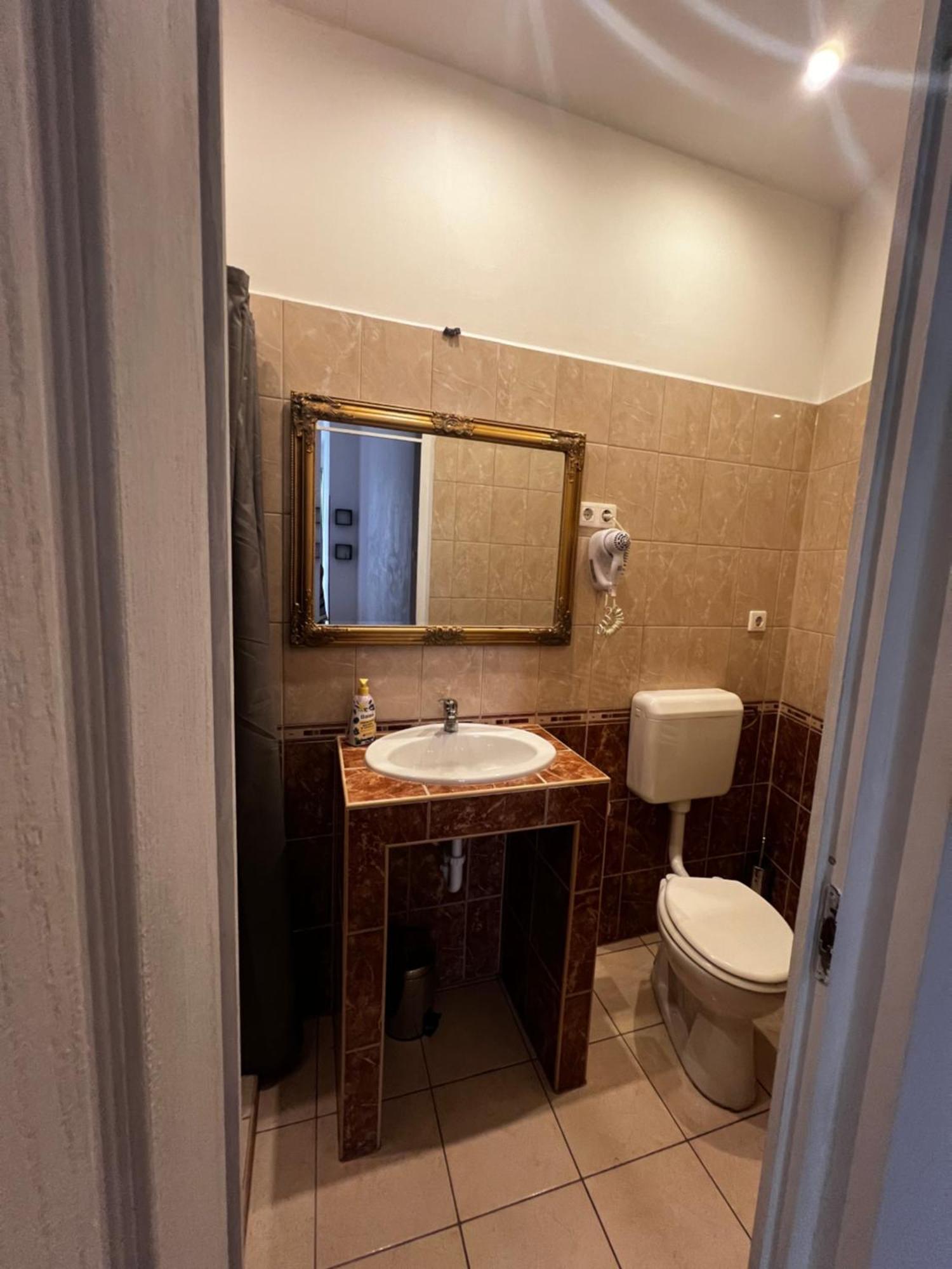 Homestay Spring Roses Downtown Boutique 2 *
