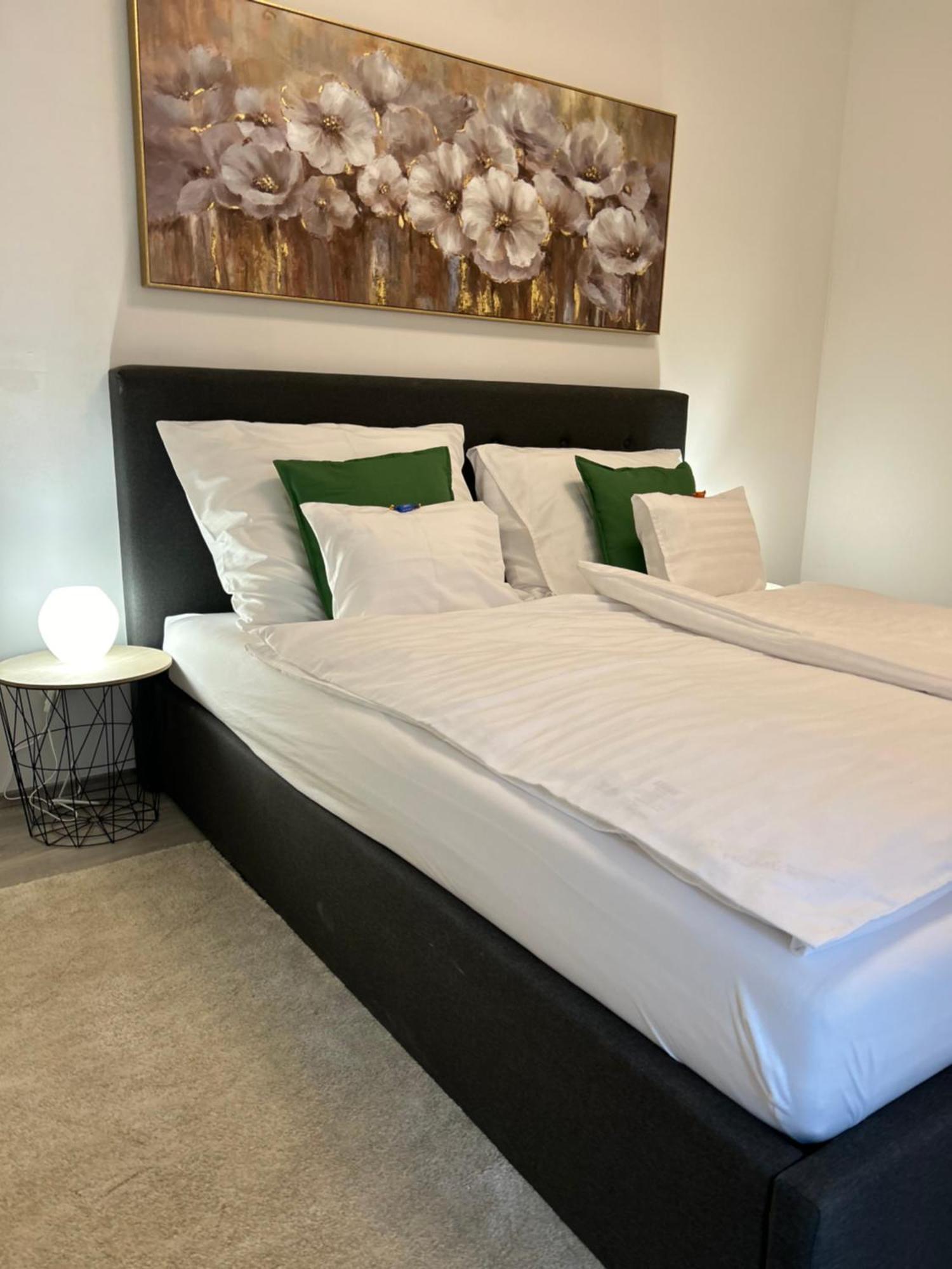 West Budapest-edge Of Downtown-free Parking Apartman *