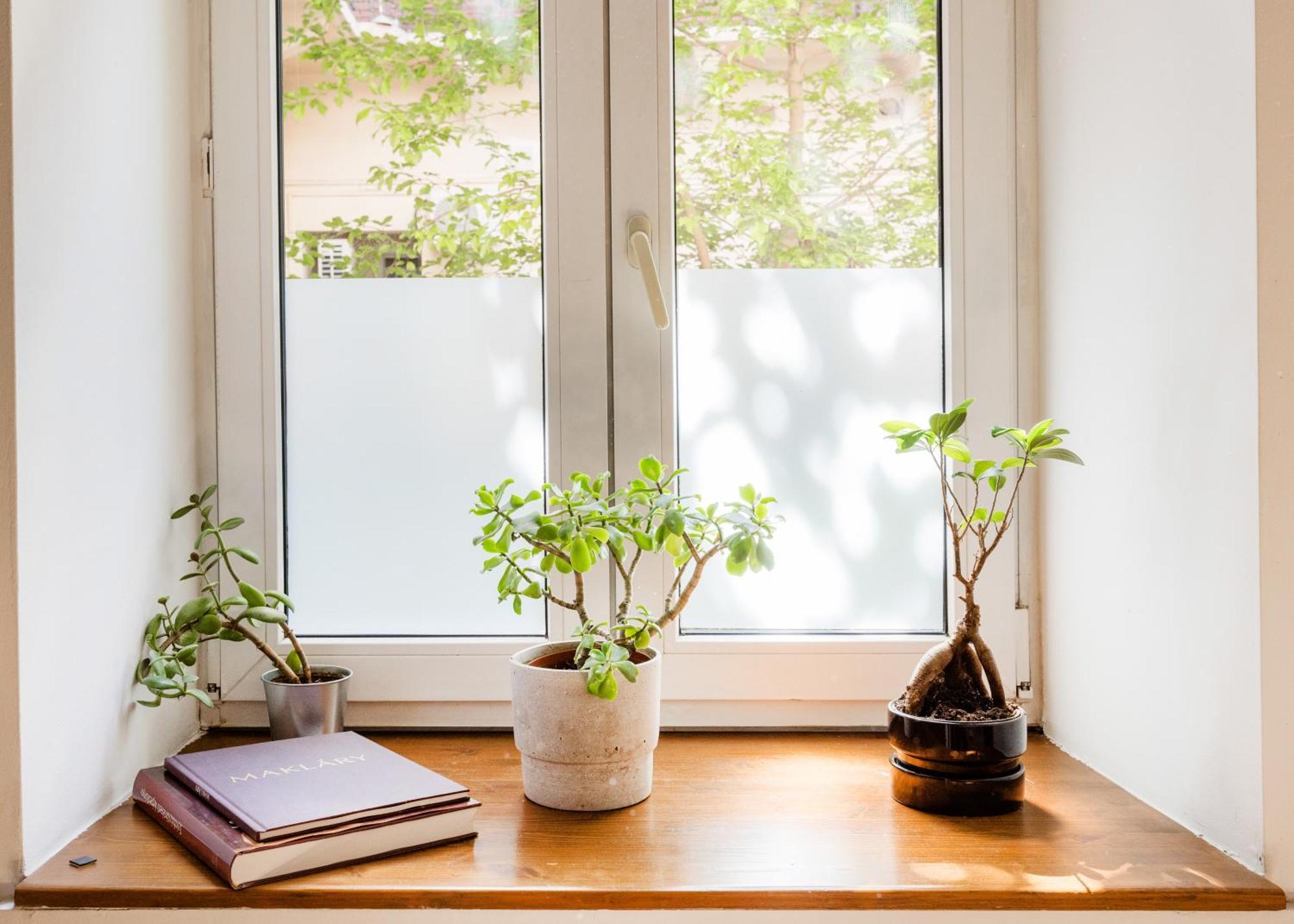Appartement Stylish Natural With Sauna - Heroes Square