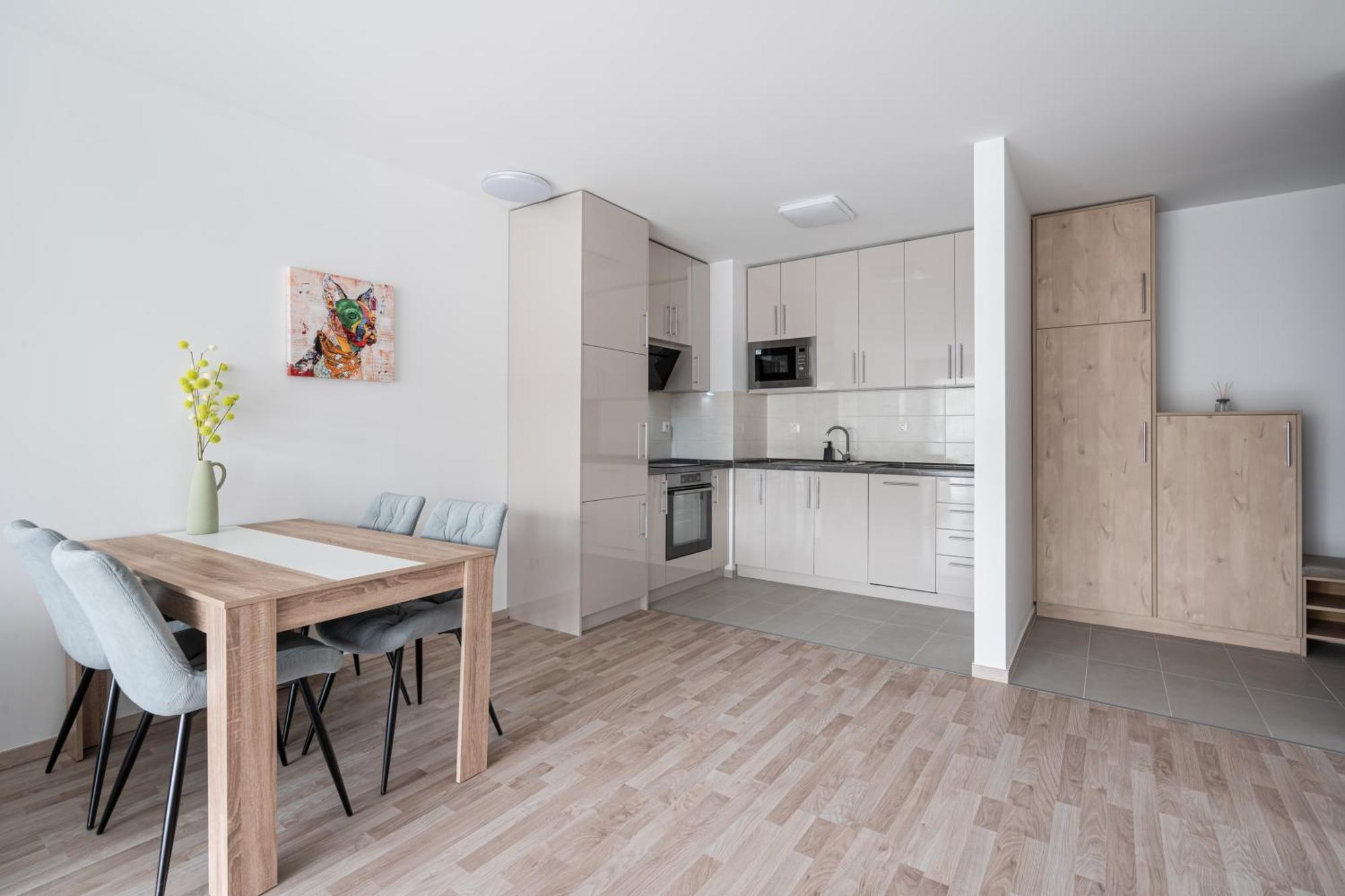 Downtown Lonyay 38 Apartman