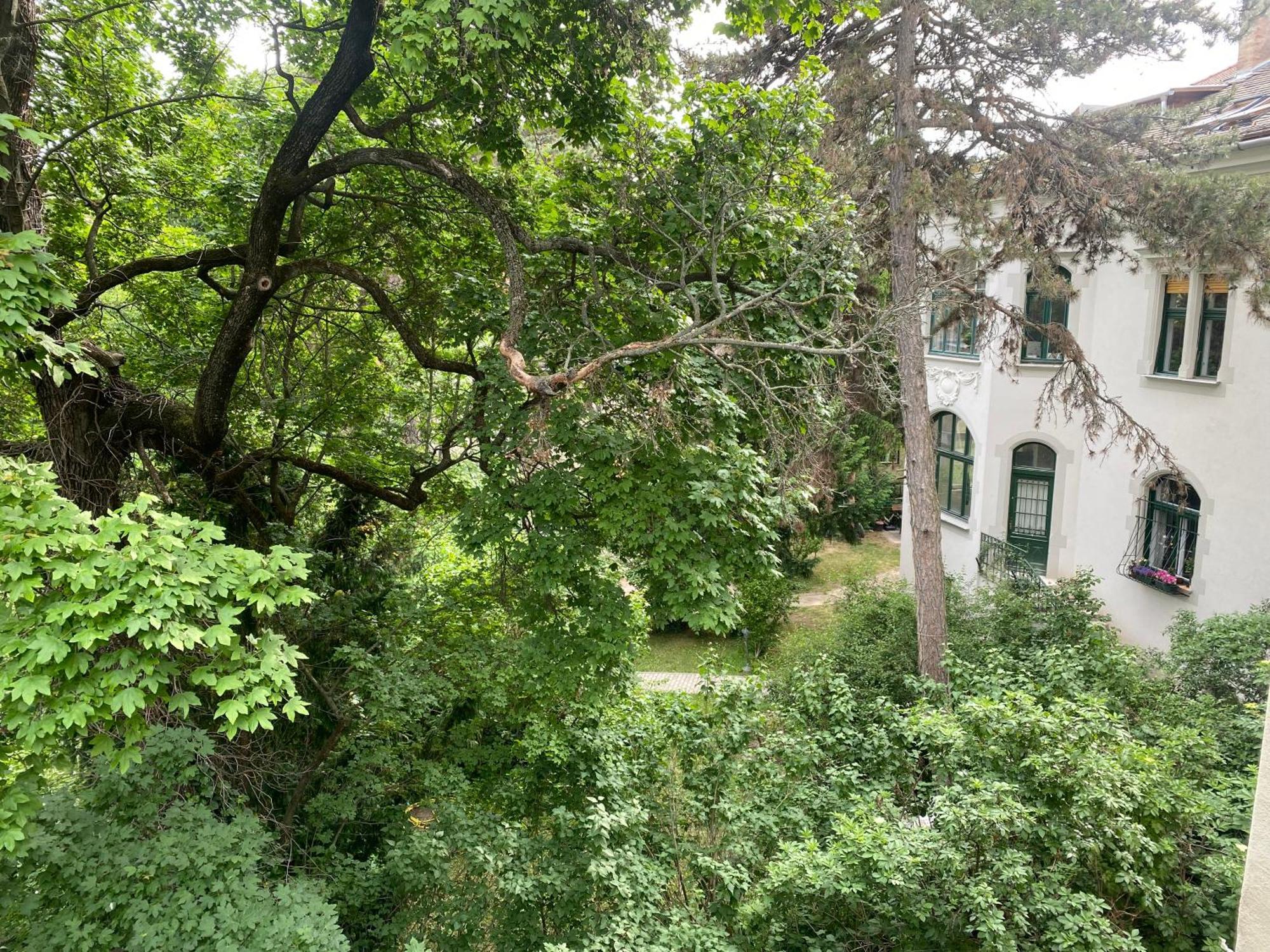 Superb With Ac 40 Sqm Terrace In The Greens Of Buda Centre * Budapest