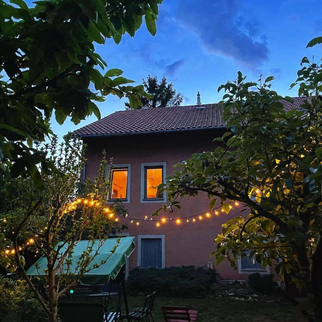 Garden Auberge de jeunesse Budapest