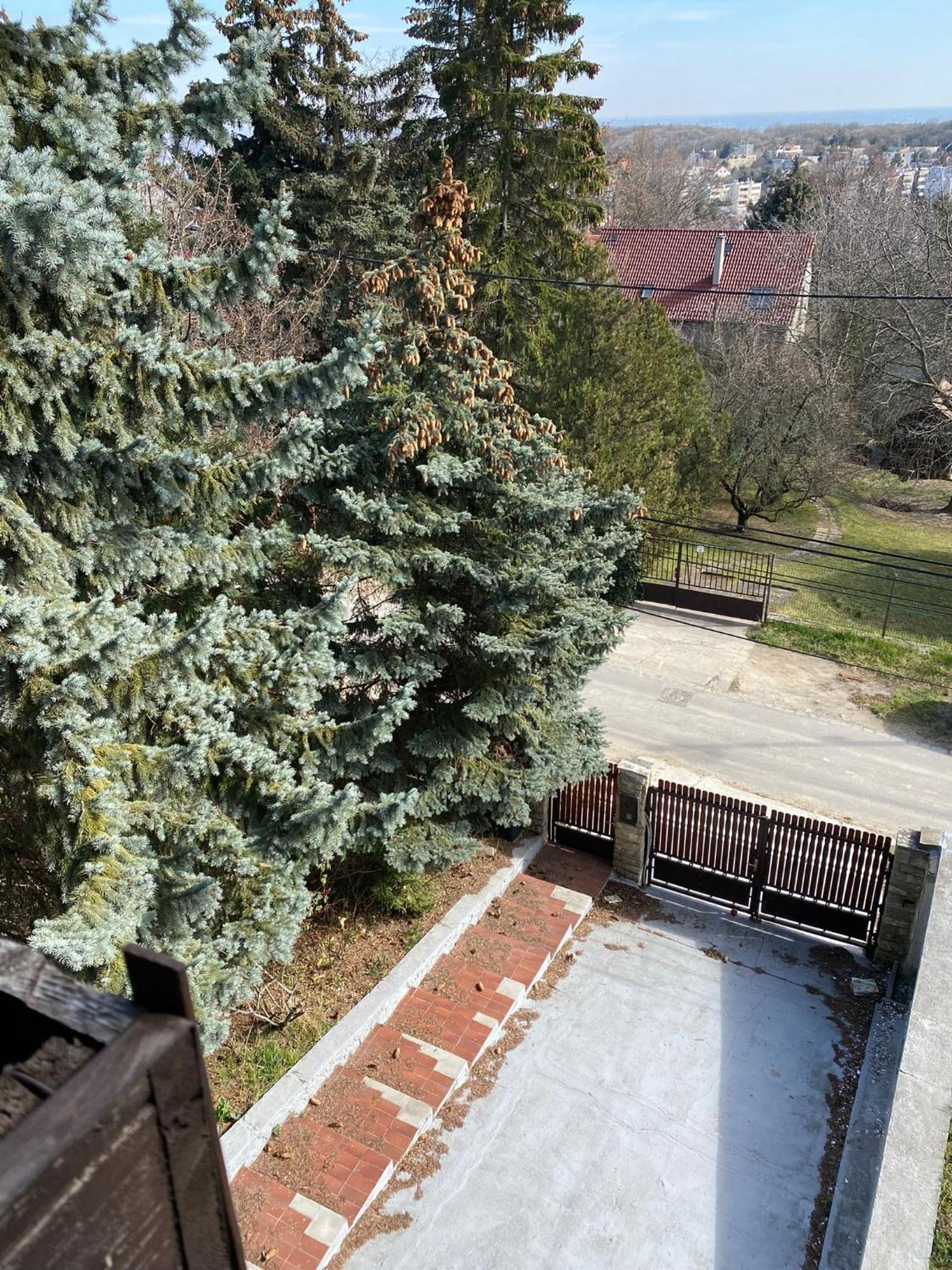 Villa Luxury 3 Bedroom In A Forest 10min Drive From Center Budapest