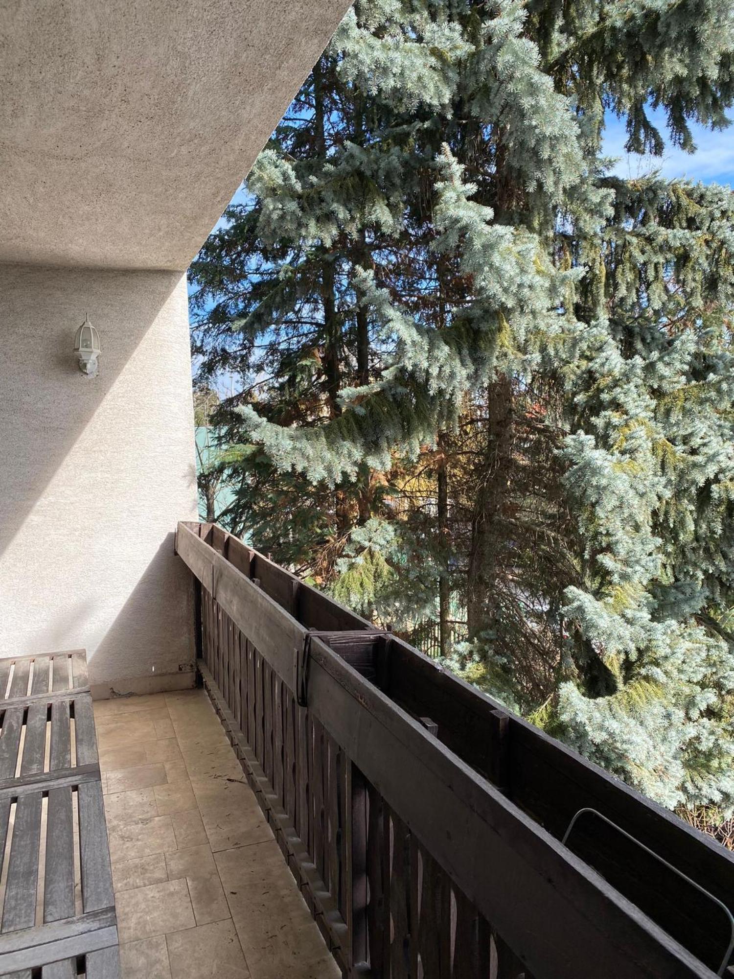 Luxury 3 Bedroom In A Forest 10min Drive From Center Villa