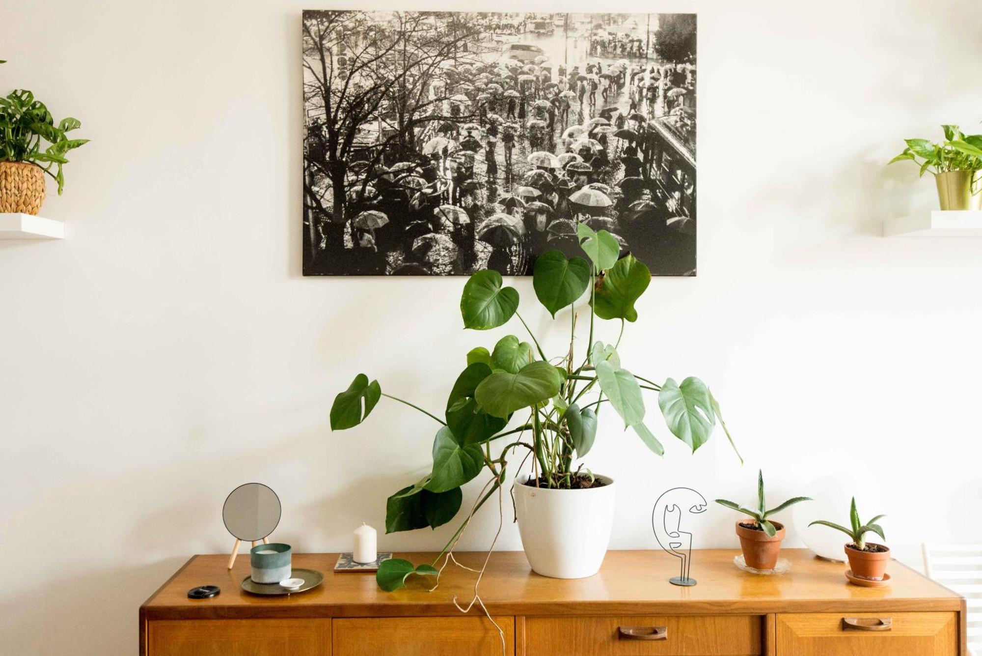 Lägenhet Dohany Design Budapest