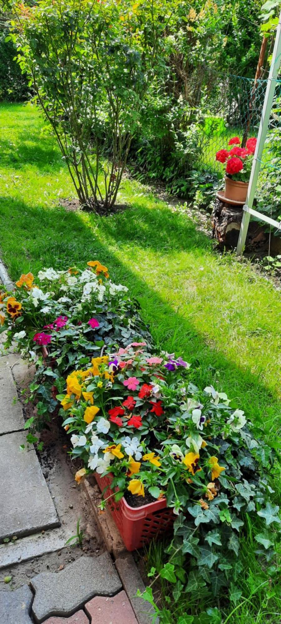 Appartement With Rose Garden & Free Parking *