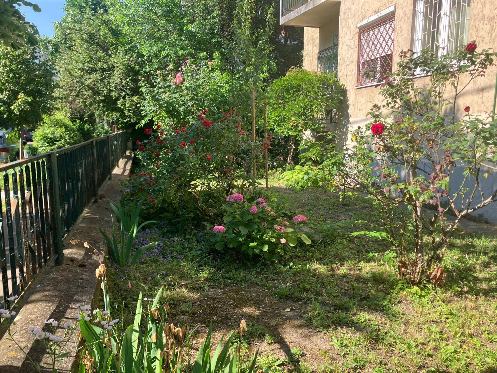 Apartment Csendes Zoeldoevezeti