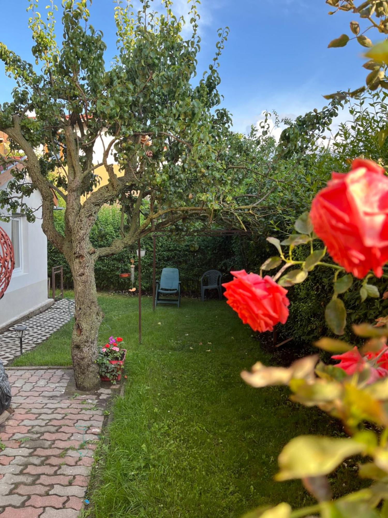 Appartement With Rose Garden & Free Parking *