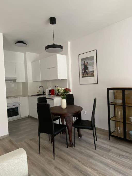 Zene Lux Vinyl Record Player & Projector Appartement *
