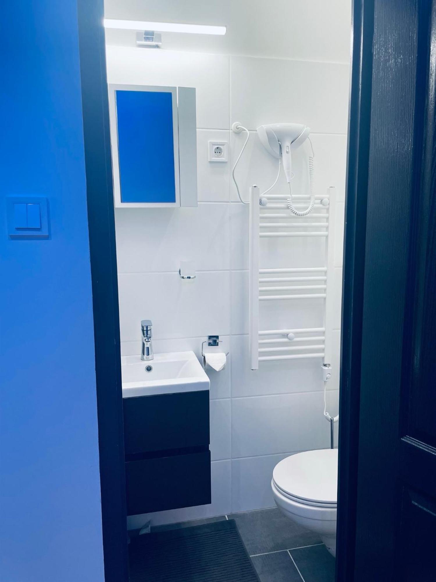 Luxury Apartment
