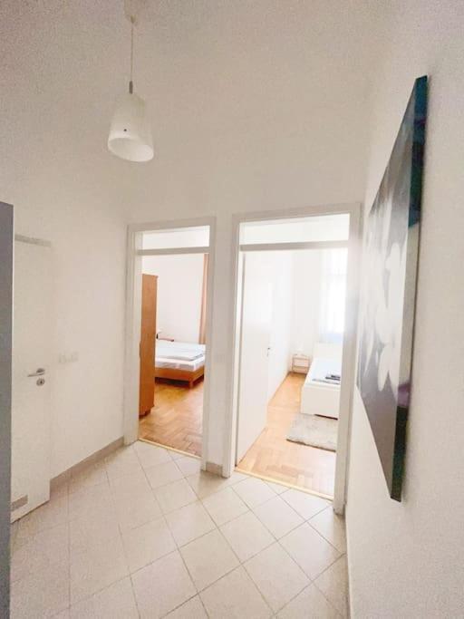 Appartement Spacious In A Vibrant Center