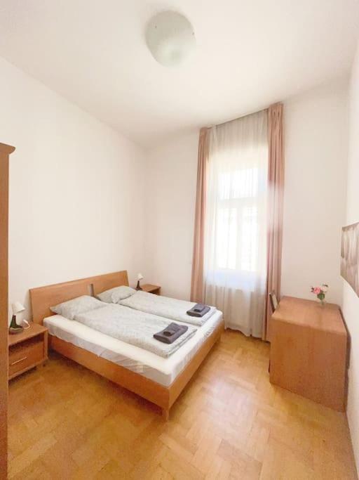 Spacious In A Vibrant Center Appartement