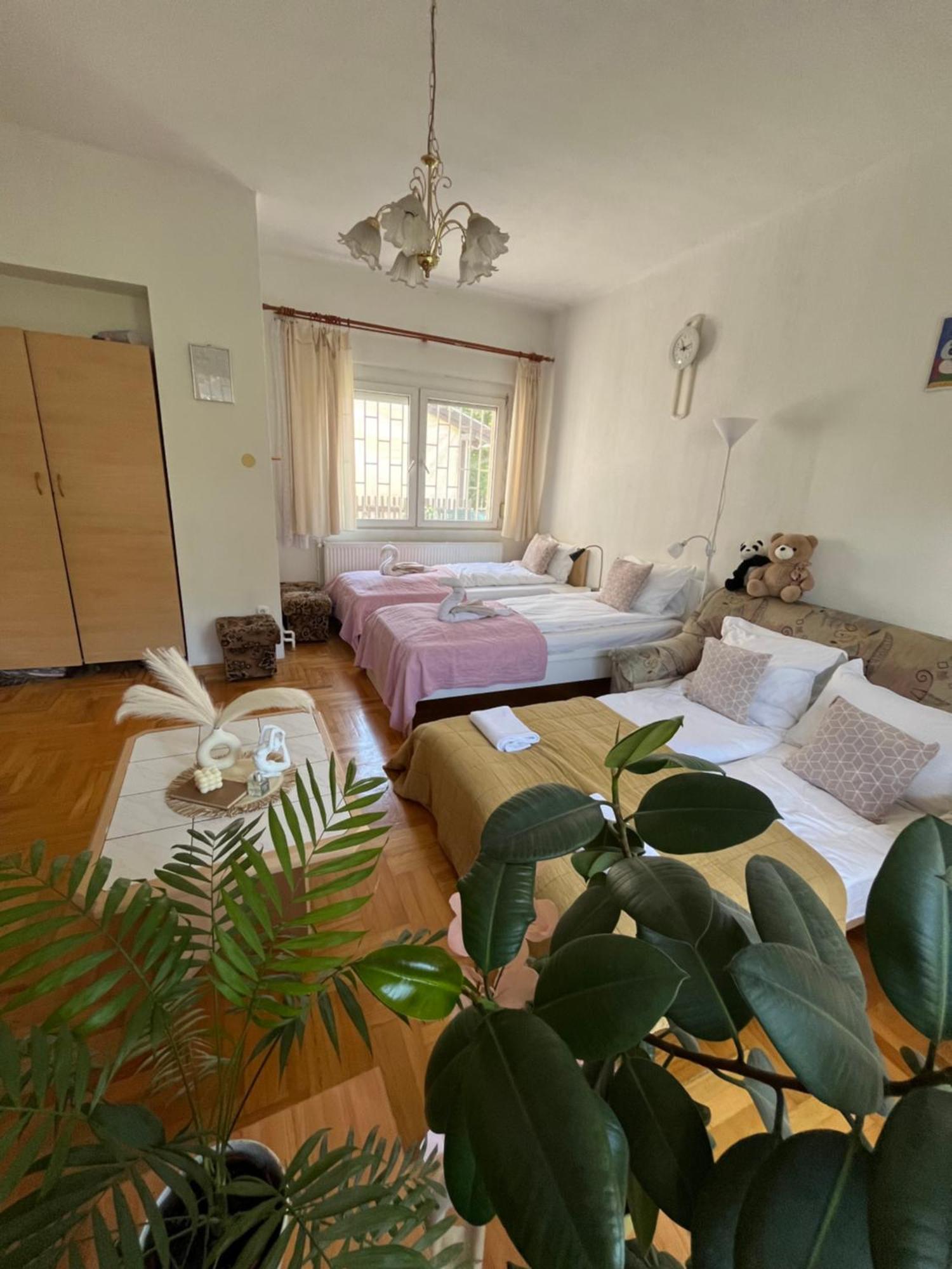 Rose Apartment With Garden & Free Parking