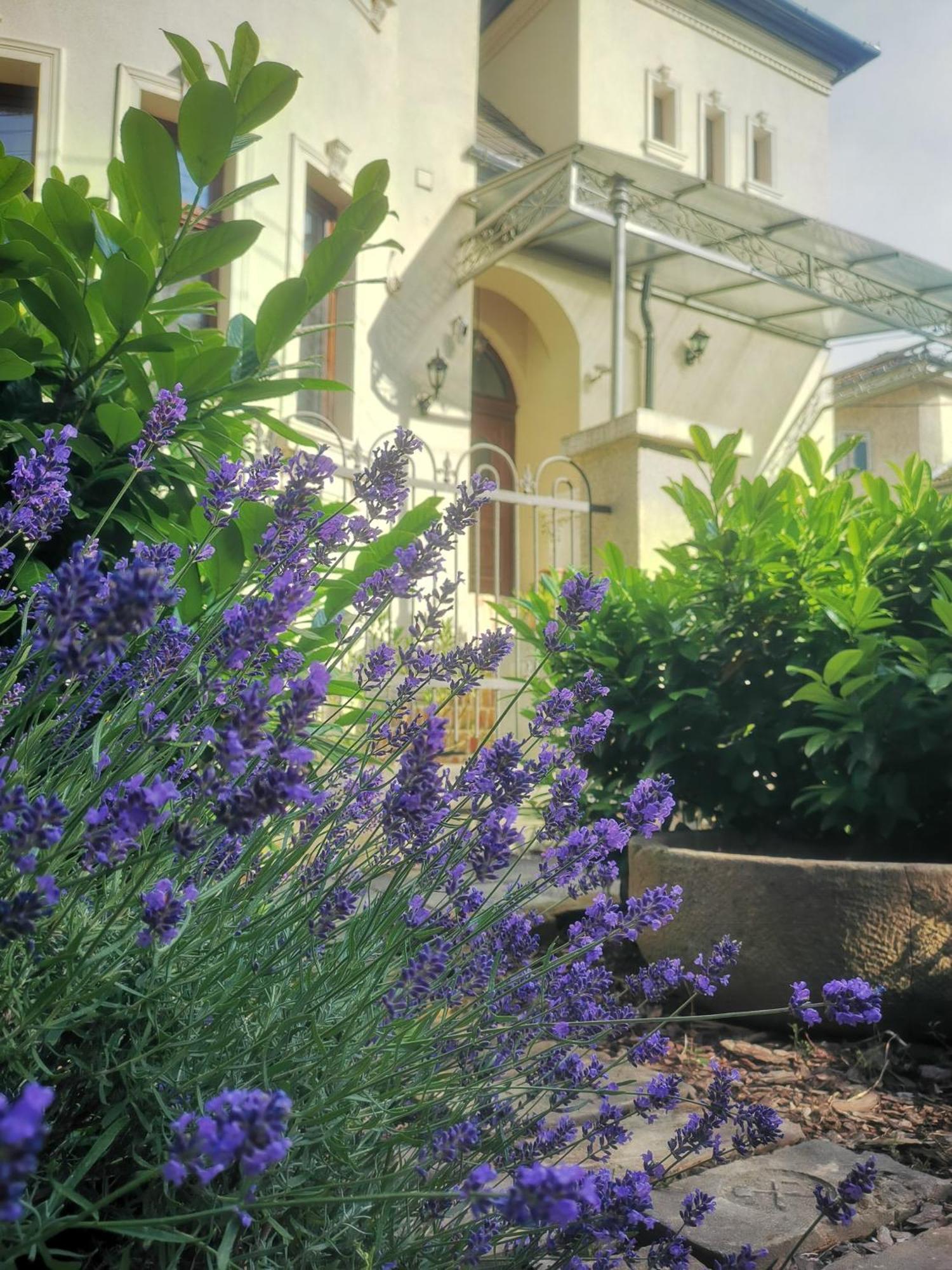 Kuria With Private Jacuzzi And Pool Apartament Budapeszt