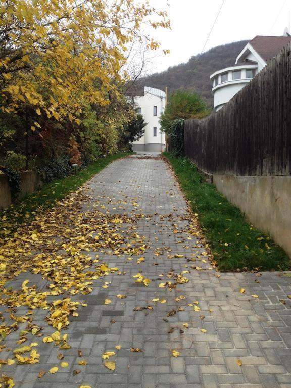 Maharaja Buda - Private Parking And Garden * Budapest