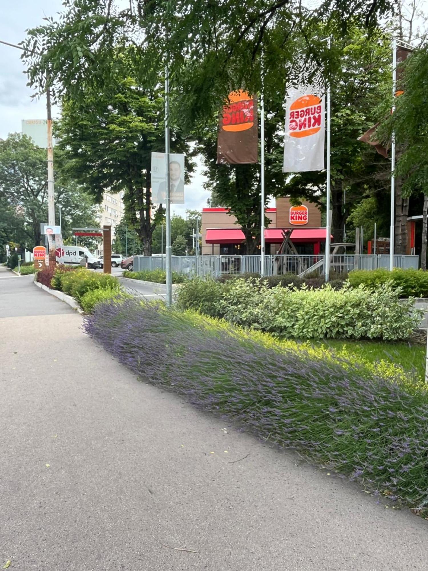 With Rose Garden & Free Parking *