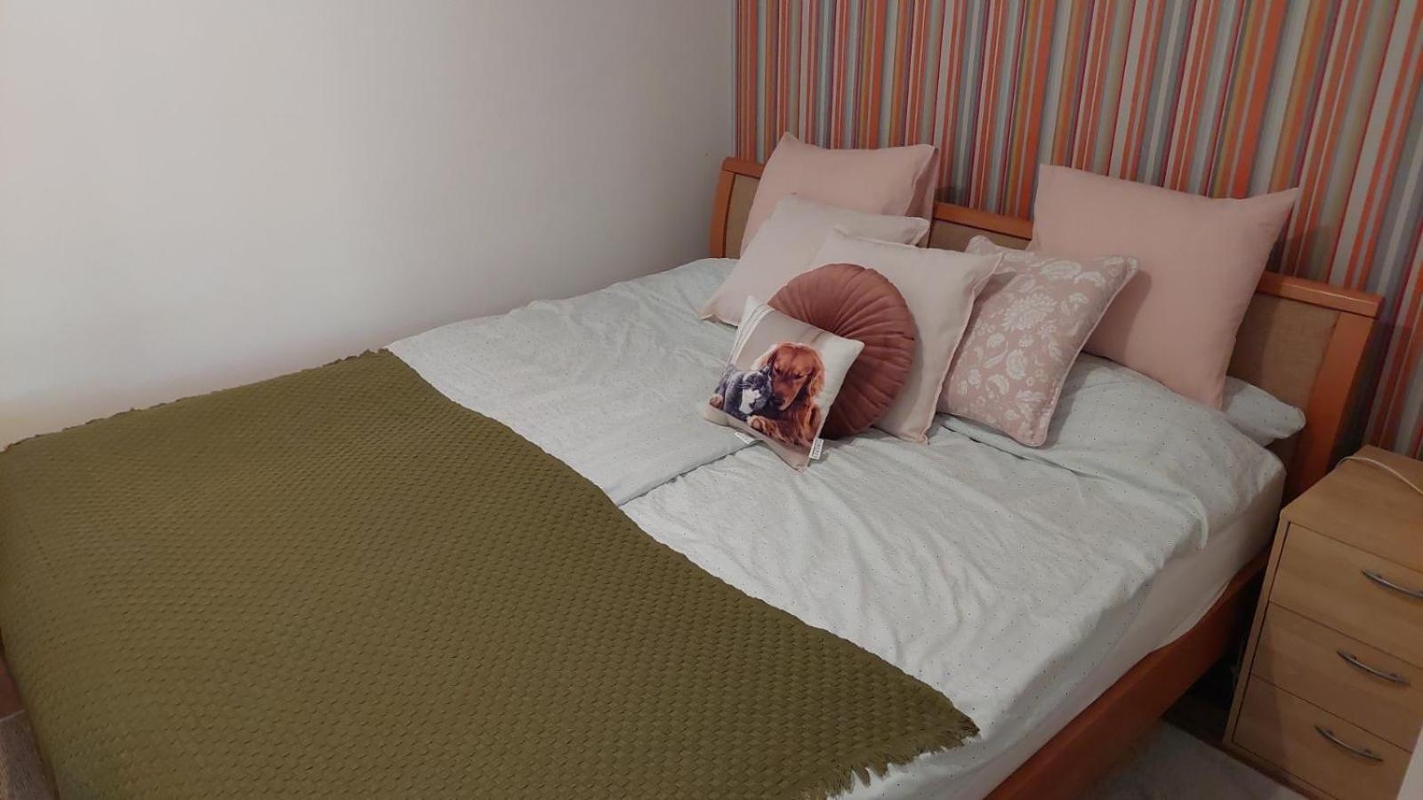 Dizike Pet-friendly *
