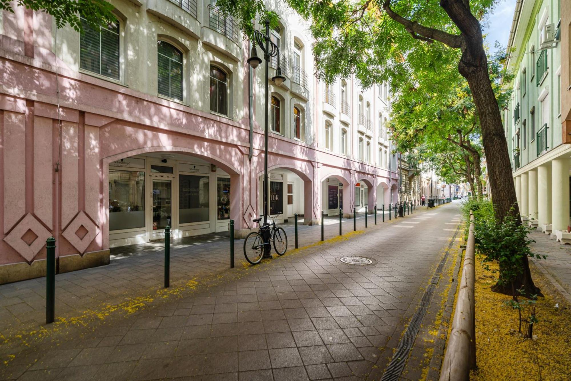 Angel With Free Garage Parking Lejlighed Budapest