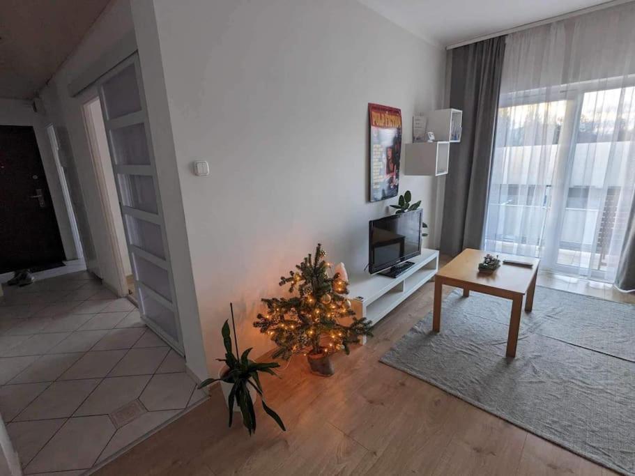 Apartment Appartamento *