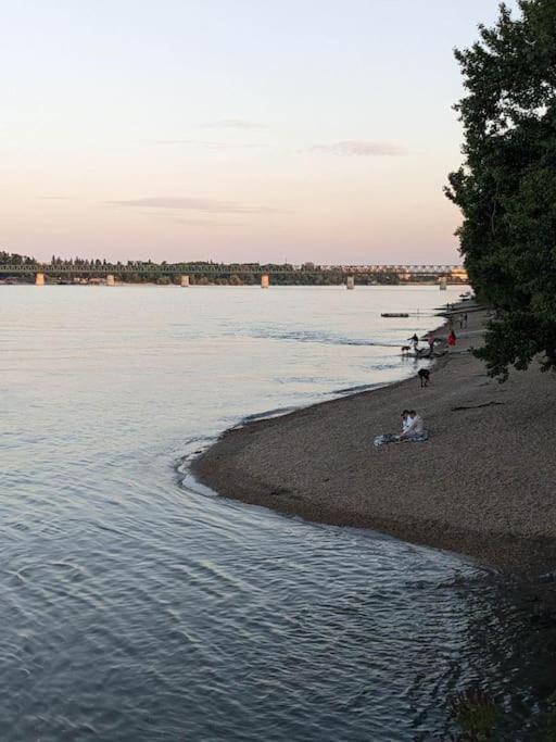 Close To Sziget Festival Budapest