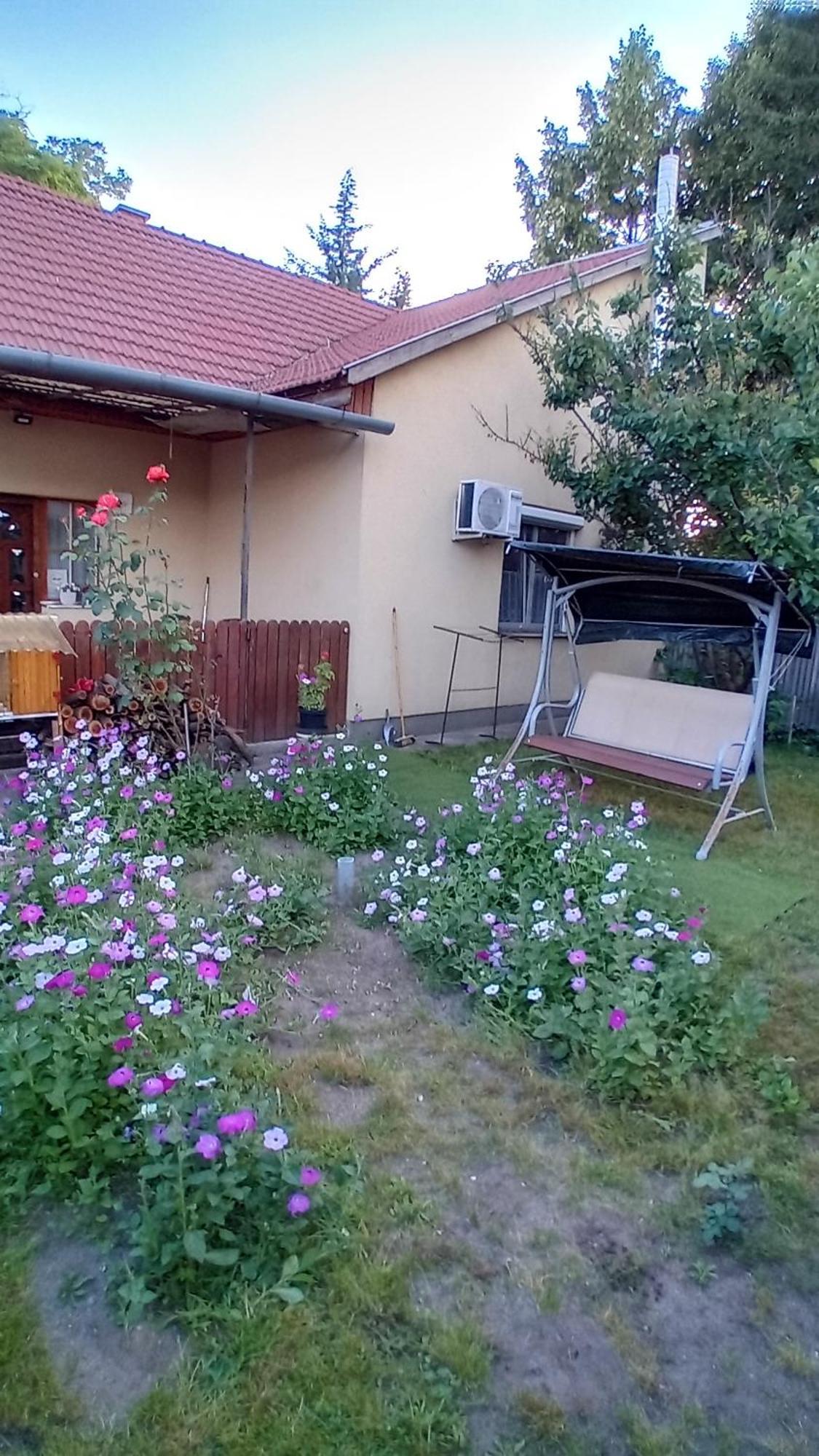 Spacious House In The Outskirts Of * Budapest