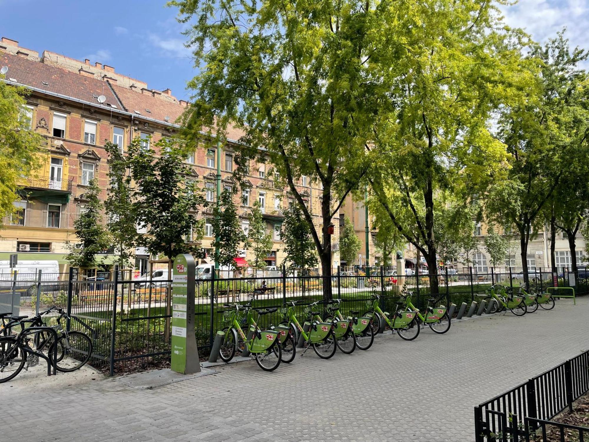 Very Warm Nature Near Gozsdu With Free Air Conditioner Free Coffee Apartment *