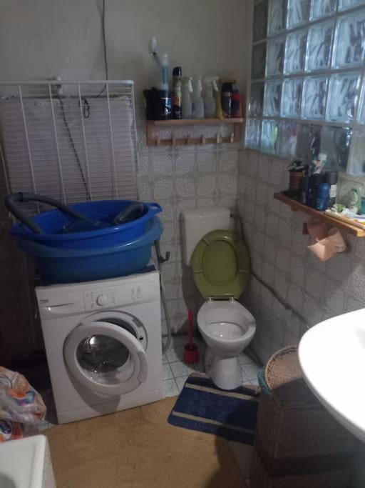 Or Working, Feel Good In The Retro Style Of A European Jiu Jitsu Champion! Appartement