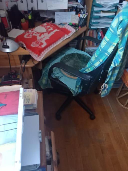 Or Working, Feel Good In The Retro Style Of A European Jiu Jitsu Champion! Appartement Budapest