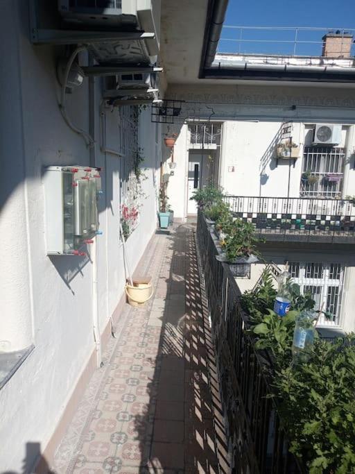 Or Working, Feel Good In The Retro Style Of A European Jiu Jitsu Champion! Appartement Budapest